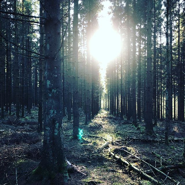  Irgendwo mit Licht der Welt 